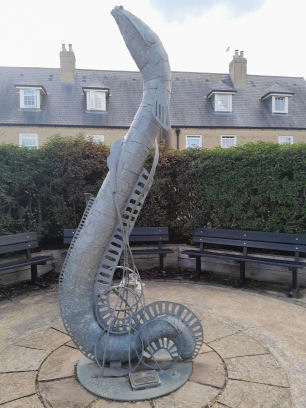 Ely eel